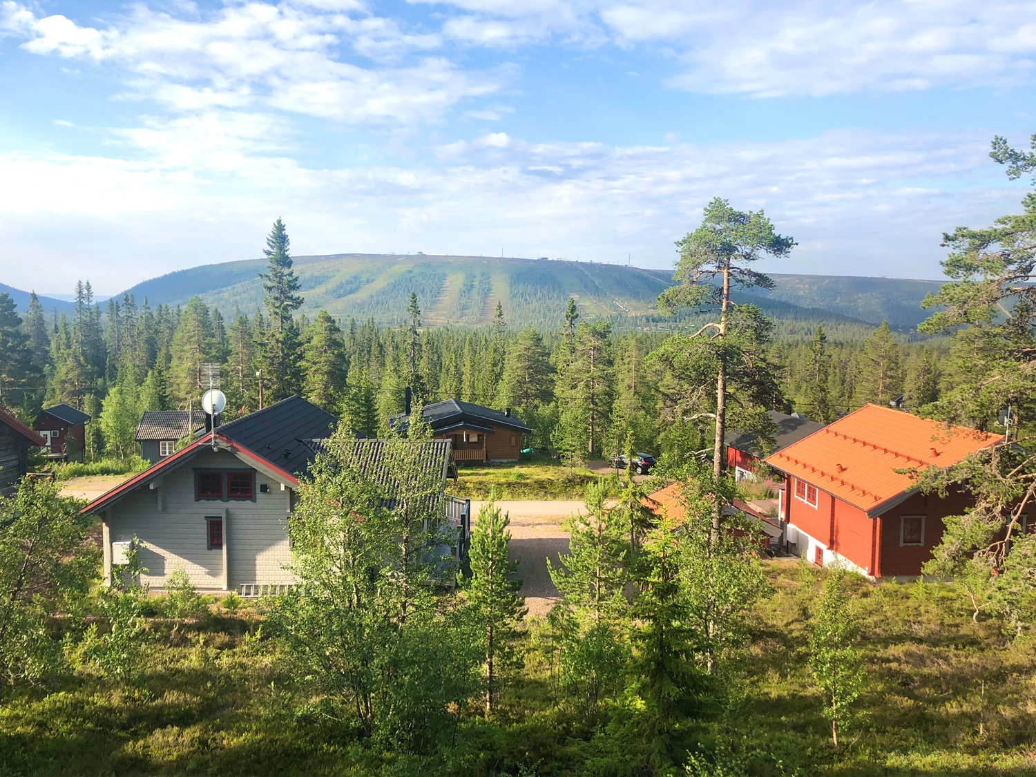 salensommar.jpg